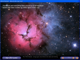 Higgs Force Interactive