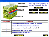 Biology Software