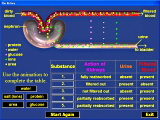 Biology Software