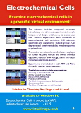 Electrochemical Cells