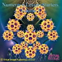 Numeracy Starters software