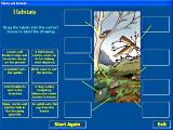 Plant and Animals software