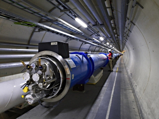 Higgs Force by Nicholas Mee