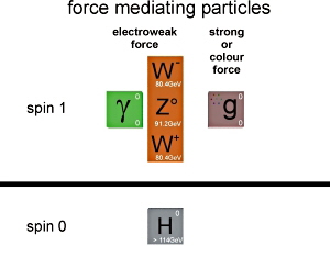 Higgs Force by Nicholas Mee