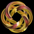 Eternal Golden Braid by Nicholas Mee